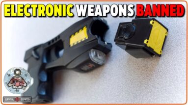 New York Bans Electronic Self-Defense Weap*ns