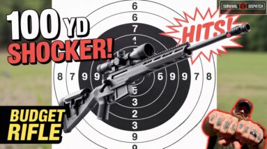 SHTF Rifle Test | Surprising Results From Our 100 Yard Shooting Test!
