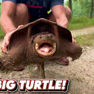 150 Miles: Epic Antique Bike Adventure | Stealth Camping | Day 2