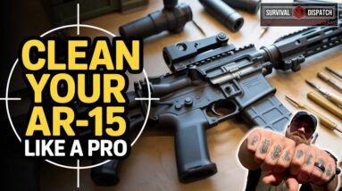 Easy AR-15 Cleaning Tricks You Need to Try!