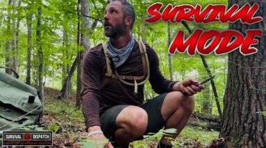 This Was Not The Plan! Ultralight GEAR Put To The Test! Survival Mode