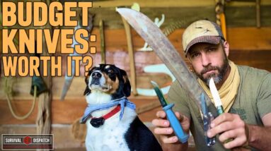 Why Budget Blades Might Surprise You!