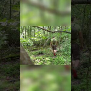 Stealth illusions to use when you can't do anything else