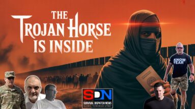 What REALLY Happened When Border Agents Were Overwhelmed EP552