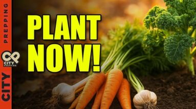 Fall 2025 Gardening: Plant These Now Before It’s Too Late