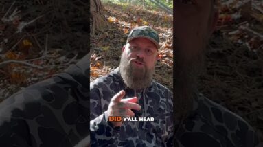🏹The Deer Rapture