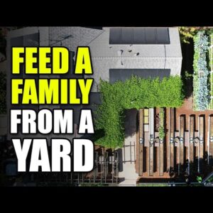 How To Grow Unlimited Food In Suburbia