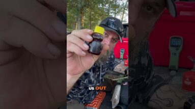 Quick Wilderness Hack: How to Make Bush Caffeine