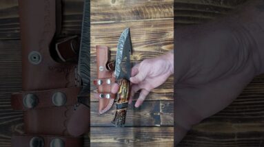 Eagle's Talon: 11.5" Full Tang Hand Forged Fixed Blade Gut Hook Damascus Steel Hunting Knife