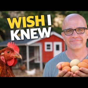 8 Things I Wish I Knew Before Starting