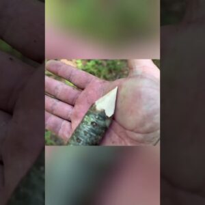 🍲Making a DIY Bushcraft Pot Holder from the Forest🪓