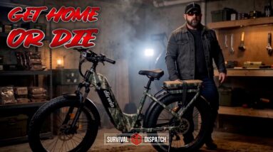 When Chaos Strikes, THIS eBike Dominates Cars!