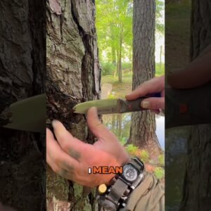 Survival Fire Starter🌲Fatwood & Pine Resin Secret
