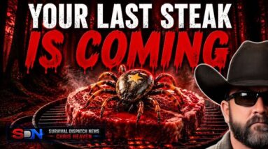 Tick Cases Exploding: Your Next Steak Could Be Your LAST Ever
