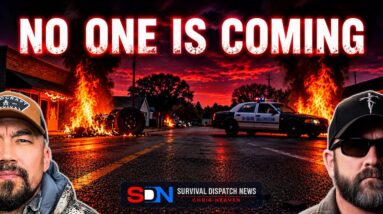 When Scarcity Strikes: Chaos Will Explode, Looting Will Begin!