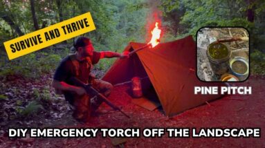 Solo Overnight Building an Emergency Torch from The Landscape