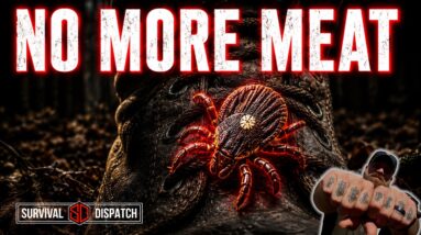 This Tick Made Him Allergic to Meat