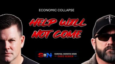Will Cartels Rule After Law Enforcement Collapses?