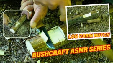 ASMR Series How to Make a Log Cabin Notch Simplified