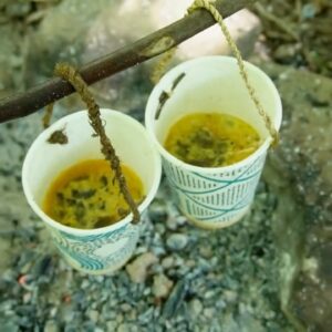 Campfire Bacon and Eggs Cooked in a Paper Cup
