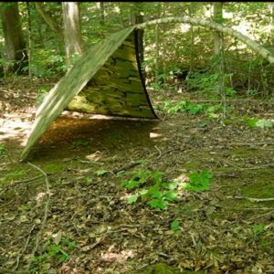 DIY Bent Sapling Shelter