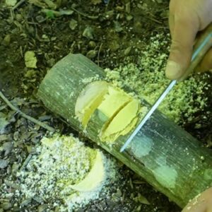 DIY Bushcraft Round Notch