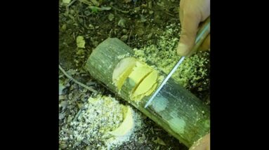 DIY Bushcraft Round Notch