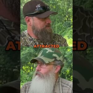 How to Avoid Ticks BESIDES Bug Spray