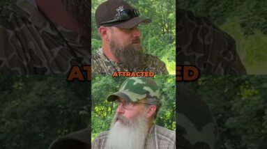 How to Avoid Ticks BESIDES Bug Spray