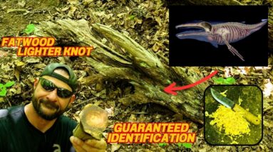 How To Find Fatwood Lighter Knot Using Whale Bones