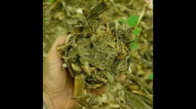 How to Make a Textbook Tinder Bundle From Poplar Bark