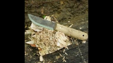 Process Birch Bark Like Fatwood