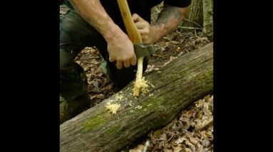 Learn How To Process Fatwood with an AXE.
