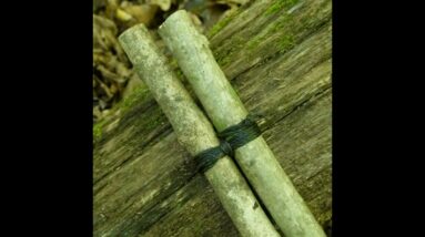 Simple Bi-Pod Lash