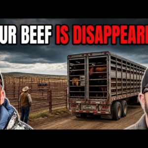 Your Beef Supply Is Being Liquidated