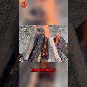 🔥😎Teaching Fire Skills on a Camping Trip