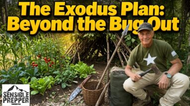 The Exodus Plan : Beyond the Bug Out Bag