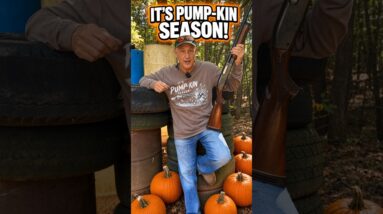 Pump Shotguns & Pumpkins!